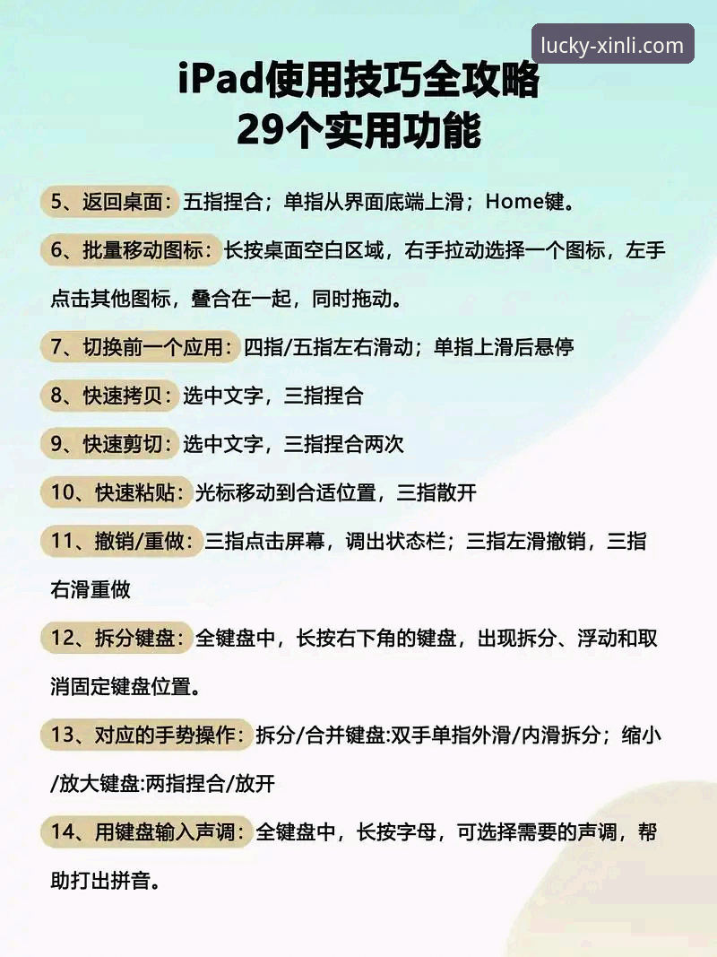 老用户实战经验分享：新利平台安全吗使用技巧全解析